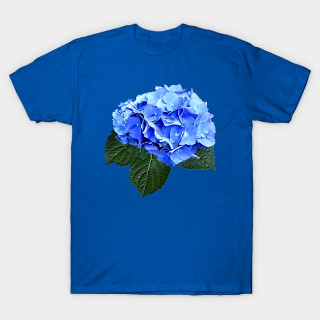 Beautiful Blue Hydrangea T-Shirt by SusanSavad